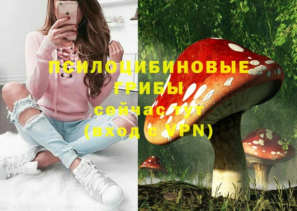 а пвп мука Верея