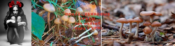 кокаин перу Верхнеуральск