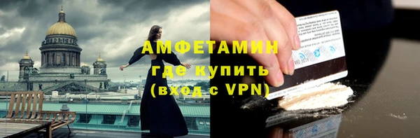 прущие грибы Иннополис