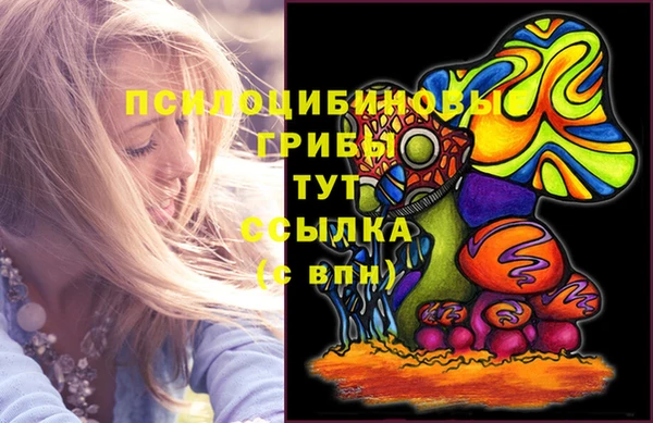 кокс Бородино