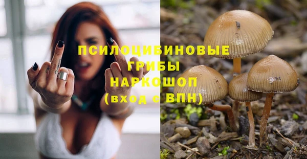 кокс Бородино