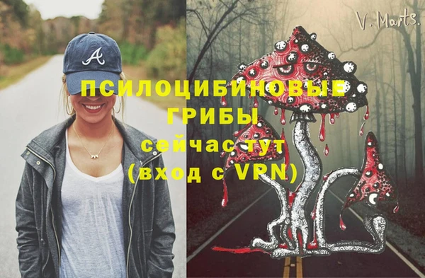 кокс Бородино