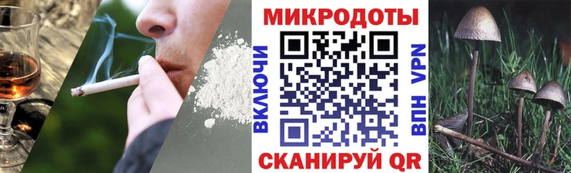 МЕГА ссылка  Каменск-Шахтинский  Галлюциногенные грибы Psilocybine cubensis 